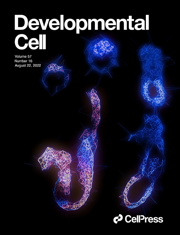 Developmental Cell - Rap1
